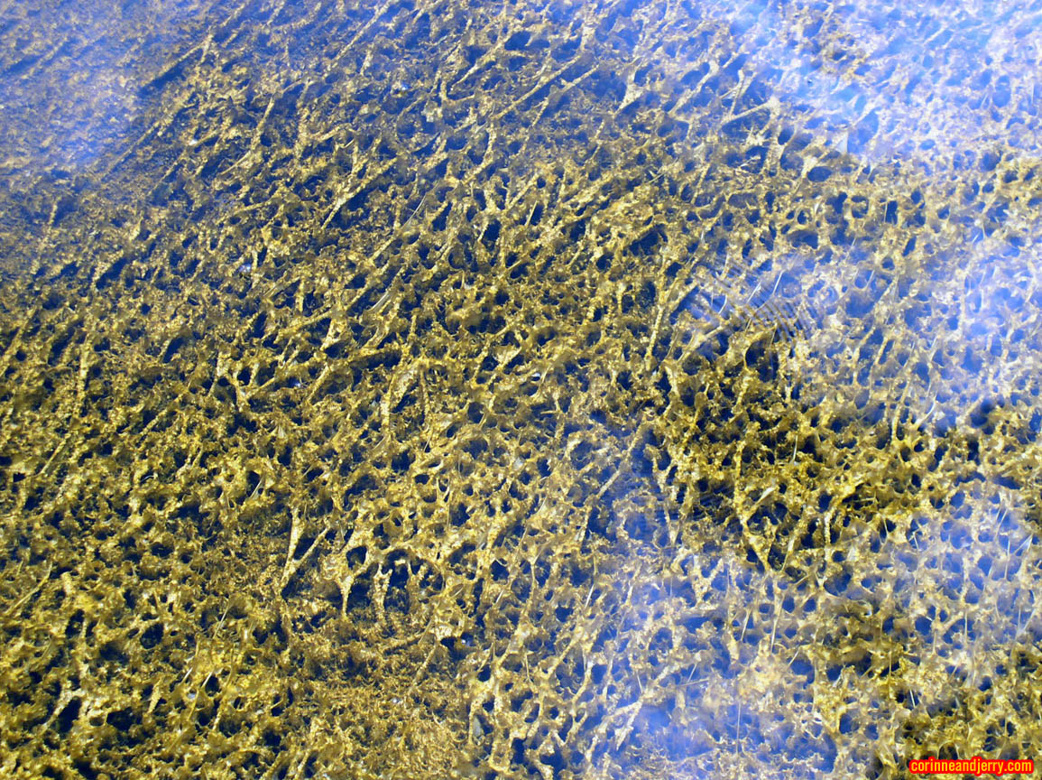 PA032963