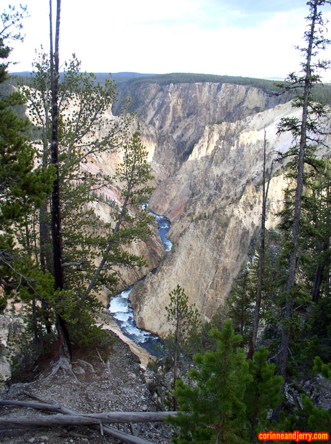 PA033020