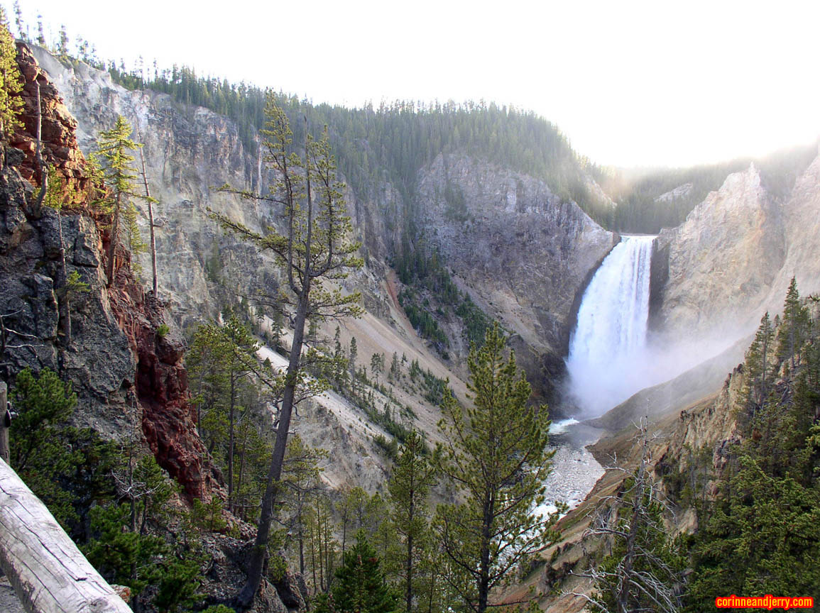 PA033036