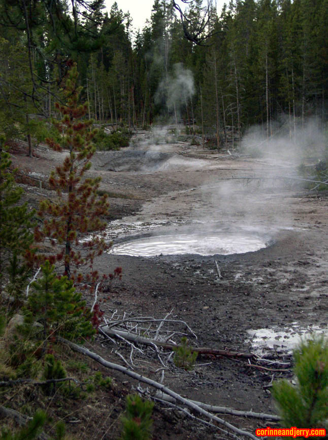 PA033048