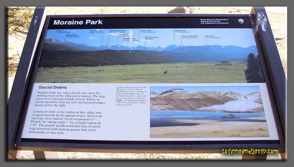 P1010046