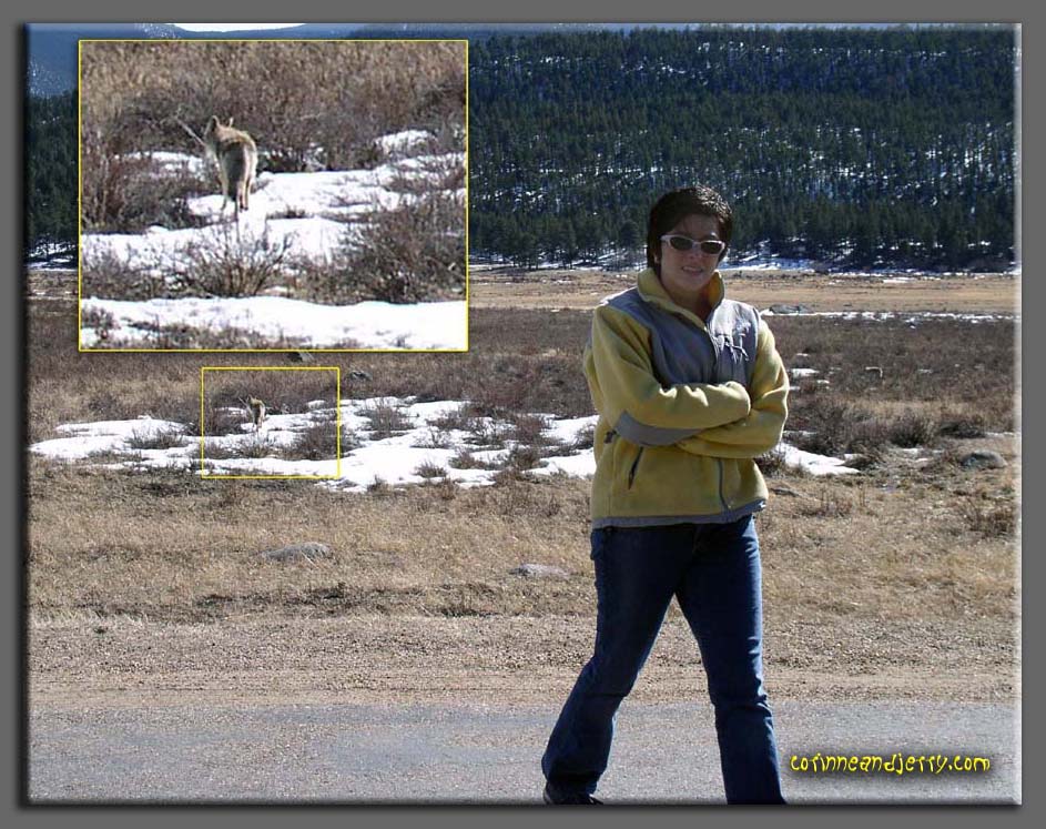 corinne_and_the_coyote